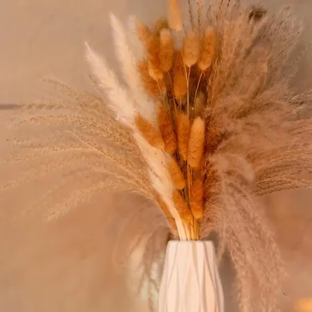 L'instant Suspendu Apartman Trélazé