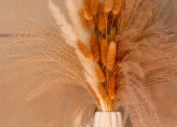 L'instant Suspendu Apartman Trélazé